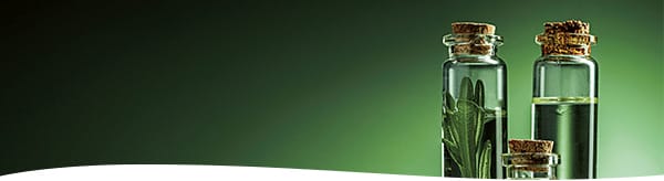 mega menu chimica 01