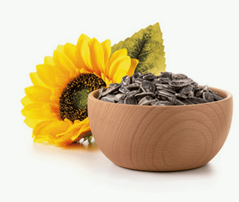 raw girasole alto green